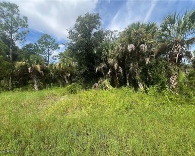 Land For Sale in PORT CHARLOTTE, FL