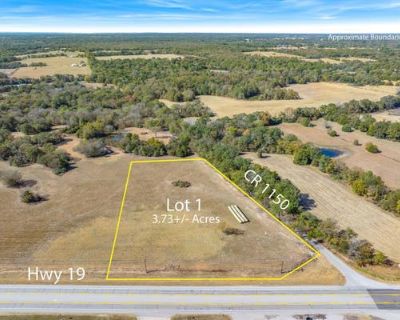 Unimproved Land For Sale in EMORY, TX