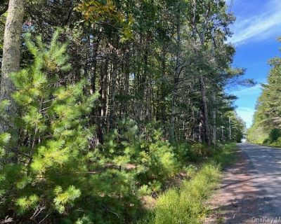 87120 ft Lots and Land For Sale in Glen Spey, NY