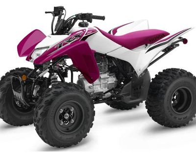 2023 Honda TRX250X ATV Sport North Reading, MA
