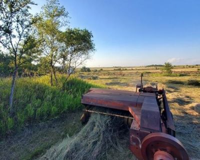 Hay for sale