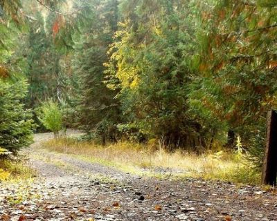 4 beds 3 bath country house/chateau vacation rental in Kooskia, ID