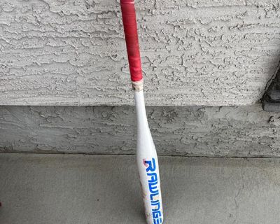 Girls Softball bat