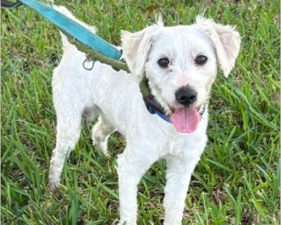 please apply website ufar