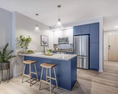 1 Bedroom 1BA 576 ft Pet-Friendly Apartment For Rent in Boston, MA