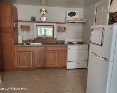 1 Bedroom 1BA 600 ft Apartment For Rent in Tobyhanna, PA