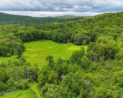Unimproved Land For Sale in CANAAN, NY