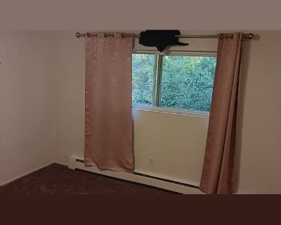 Female. Apartment. 2 bedrooms total. 1 bedrooms available (Single Room). 1 bathrooms. 1 months minimum stay. Available now. Gym . Parking . TV . Wifi .. We have an extra room, shared bathroom, laundry in unit, fireplace (plenty of firewood & mallows), tons of movies, free dinner most nights, quiet neighbors.. 2 mixed gender, from 38 to 41 years old, mixed, non smokers. Available now