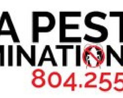 URL:
https://www.rvapestelimination.com/

Keywords or tags: 
pest control service, exterminator, bed bug treatment

Description: 
RVA Pest Elimination is a pest control service in Richmond, VA. We serve the greater Richmond area with bed bug treatments, roach extermination, mosquito control, and more.

Owner Name:
Brad Collins

Full Address: 
3126 W Cary St #266
Richmond, VA 23221

Phone:
804-2...