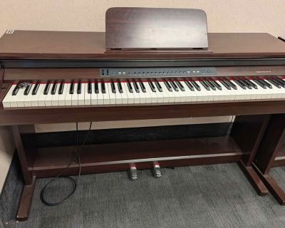 Suzuki digital pianos, need work