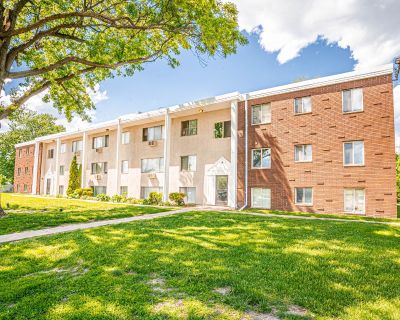 1 Bedroom 1BA 750 ft Pet-Friendly Apartment For Rent in St Paul, MN