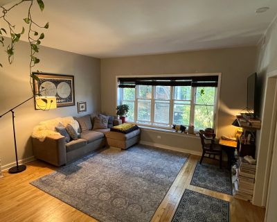 2 Bedroom 1BA Pet-Friendly Apartment For Rent in Chicago, IL