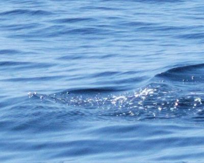 Zach (Has a House) on iROOMit. Room in the 4 Bedroom 2BA House For Rent...