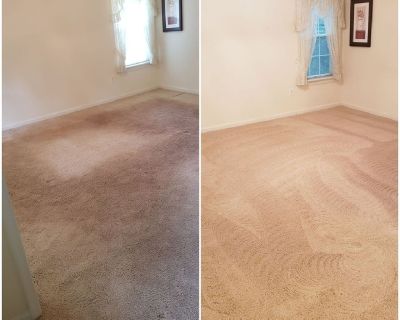 Hire The Best Eco-Friendly Carpet Cleaning in Alexandria