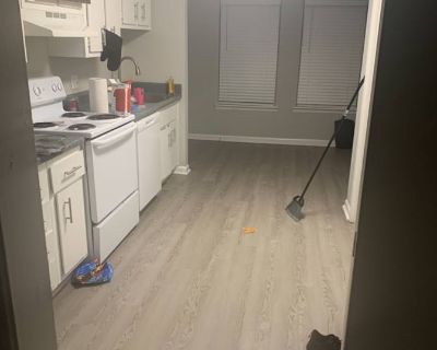 Private room with shared bathroom in an apartment with 1 roomie