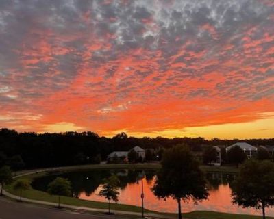 Private room with ensuite in a Condo with 1 roomie, Ridgeland, MS 39157