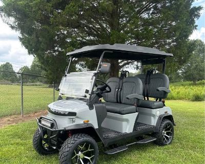 2025 Denago EV 2025 Denago EV Rover XL Golf carts Conover, NC