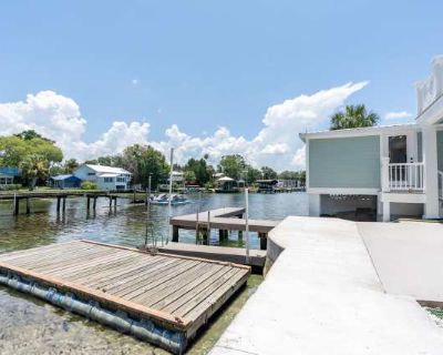 1 Bedroom 1BA 0 ft Apartment For Rent in Crystal River, FL