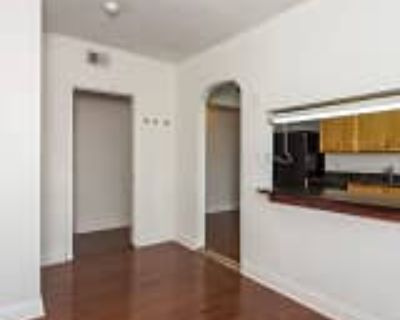 3 Bedroom 1BA 882 ft² Pet-Friendly Apartment For Rent in Philadelphia, PA 1539 Cecil B. Moore Ave unit 3