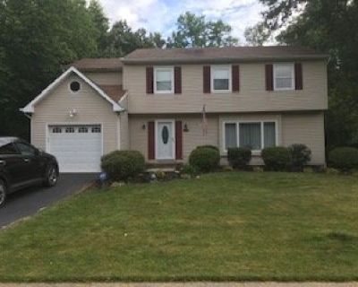 Room for Rent in 5 bedroom house