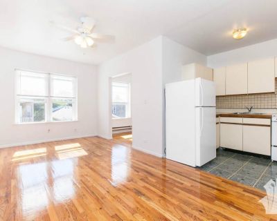 2 Bedroom 2BA Pet-Friendly Apartment For Rent in Chicago, IL