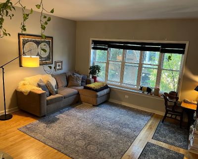2 Bedroom 1BA Pet-Friendly Apartment For Rent in Chicago, IL