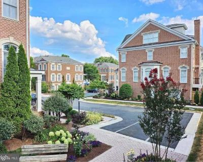 3 Bedroom 5BA 0 ft Townhouse For Rent in McLean, VA