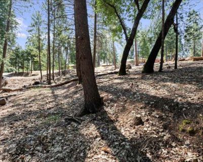 Land For Sale in POLLOCK PINES, CA
