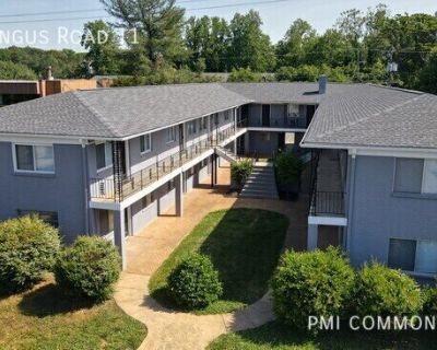 1 Bedroom 1BA 600 ft Apartment For Rent in Charlottesville, VA