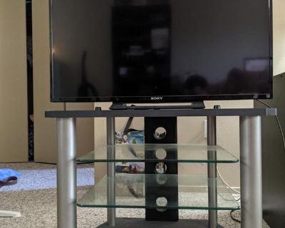 Sony TV Stand (CRT)