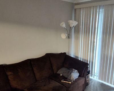 Andi Thompson (Has an Apartment) on iROOMit. Room in the 3 Bedroom 2BA...