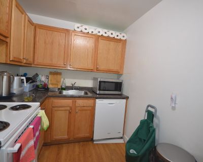 1 Bedroom 1BA Pet-Friendly Apartment For Rent in Brookline, MA