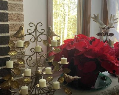 Blue Mountain Quiet Spot (Has a House) on iROOMit. Room in the 1 Bedroom...