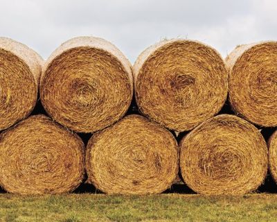 Custom Swathing and Baling