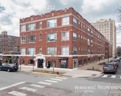 1BA 450 ft Pet-Friendly Apartment For Rent in Chicago, IL