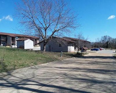 1 Bedroom 1BA Apartment For Rent in Richland, MO