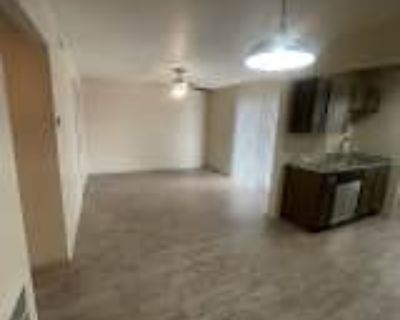 1 Bedroom 1BA 451 ft² Pet-Friendly Apartment For Rent in Dallas, TX 1500 N Carroll Ave #204