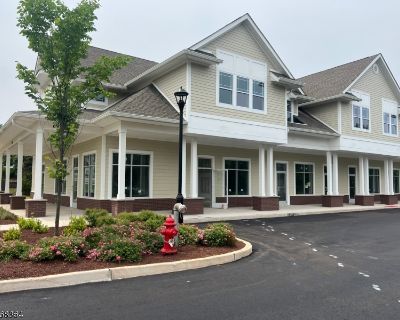 1 Bedroom 1BA 793 ft Office Space For Rent in Hillsborough Twp., NJ