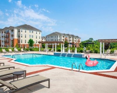 Sierra Dr, Hamilton, Flat For Rent