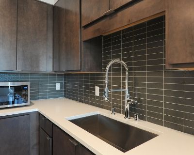 1 Bedroom 1BA 550 ft Apartment For Rent in Minneapolis, MN