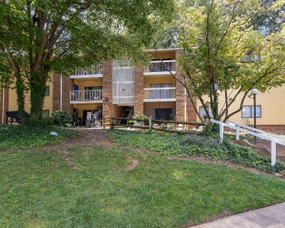 1225 ft Furnished Pet-Friendly Room For Rent in Raleigh, NC