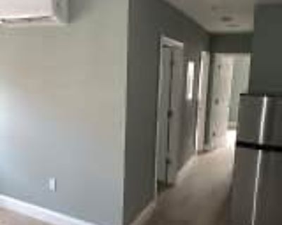 3 Bedroom 1BA 2520 ft² Apartment For Rent in Washington, DC 4647 Hillside Rd SE #B1