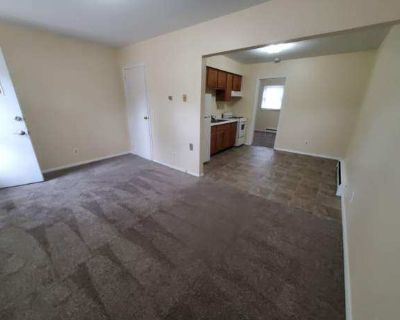 1 Bedroom 1BA 480 ft Apartment For Rent in Rantoul, IL