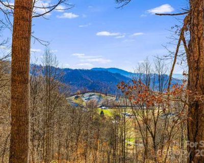 2 Bedroom 2BA 1578 ft Single Family Home For Sale in CLYDE, NC