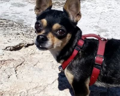 Female Seeking Room in Modesto