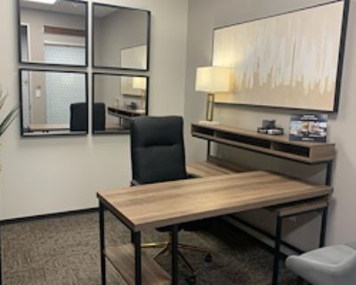 Private Office for 3 at Lucid Private Offices