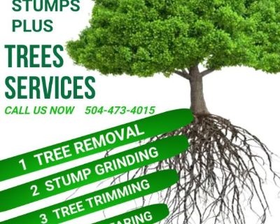Tree Trim Tree Removal Tree Services Nick's Stumps Plus