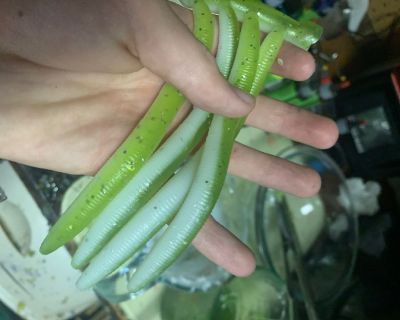$1 for 10 Mystery Lures