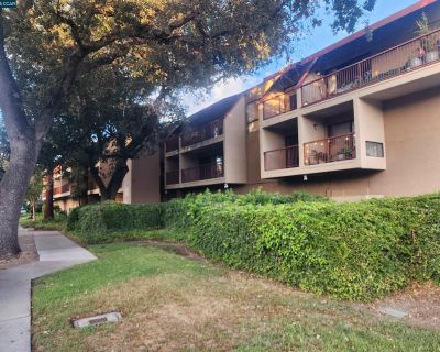 1 Bedroom 1BA 601 ft Condo For Rent in Walnut Creek, CA