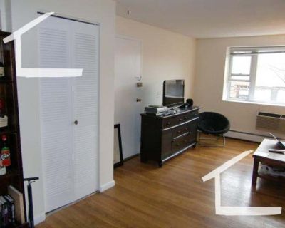 2 Bedroom 1BA 0 ft Pet-Friendly Apartment For Rent in Brookline, MA